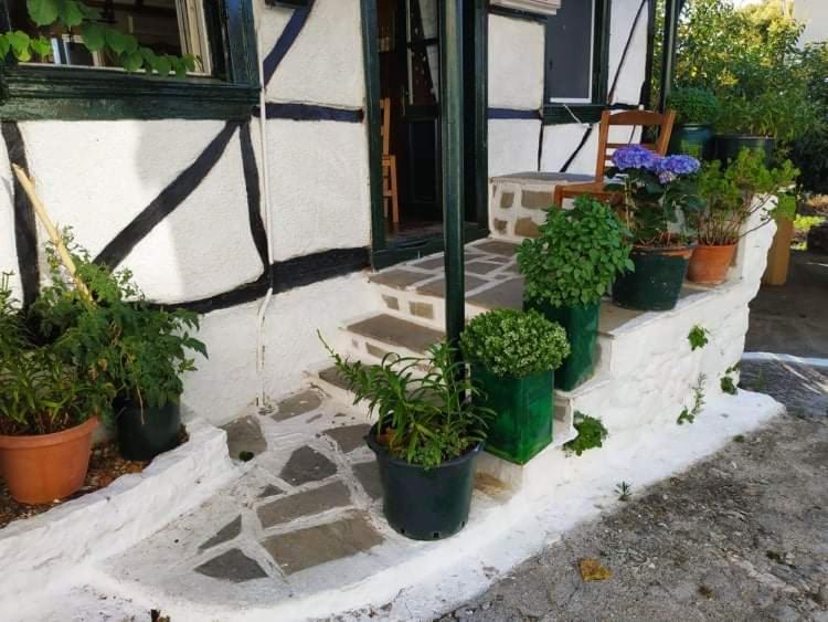 Lefkada Villas Panoramic Katouna Экстерьер фото